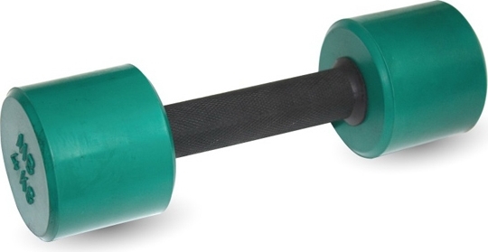 Гантель MB Barbell MB-Fit 3 kg